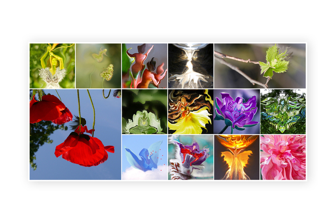 Foto collage op plexiglas